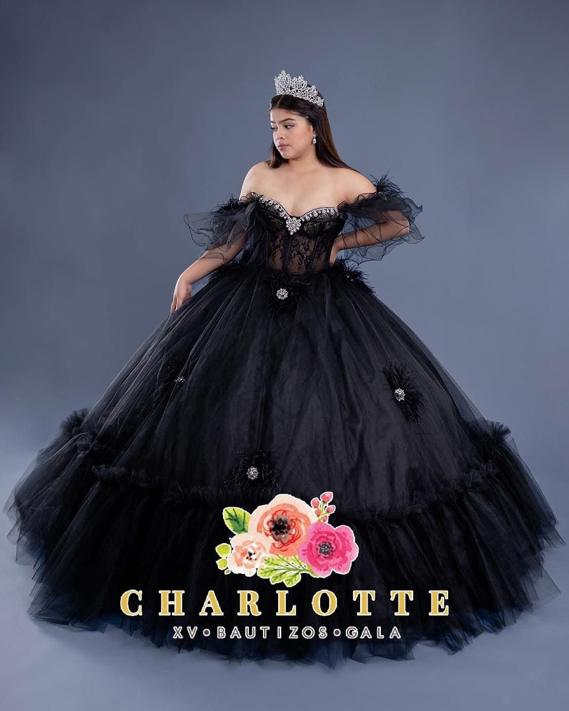 Charlotte Vestidos